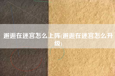 邂逅在迷宫怎么上阵(邂逅在迷宫怎么升级)