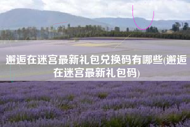 邂逅在迷宫最新礼包兑换码有哪些(邂逅在迷宫最新礼包码)