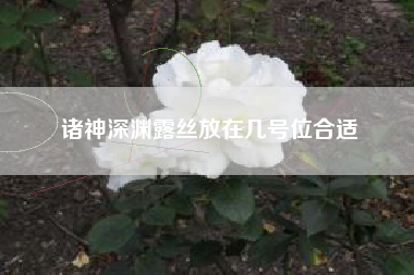 诸神深渊露丝放在几号位合适
