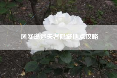 风暴岛迷失者隐藏地点攻略