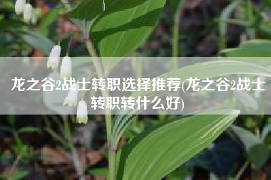 龙之谷2战士转职选择推荐(龙之谷2战士转职转什么好)
