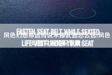 风色幻想命运传说米娜武器怎么选(风色幻想命运传说下载)