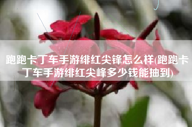 跑跑卡丁车手游绯红尖锋怎么样(跑跑卡丁车手游绯红尖峰多少钱能抽到)
