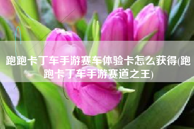 跑跑卡丁车手游赛车体验卡怎么获得(跑跑卡丁车手游赛道之王)