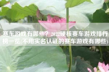 赛车游戏有哪些？2022硬核赛车游戏排行榜一览(不用实名认证的赛车游戏有哪些)