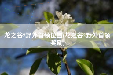 龙之谷2野外首领位置(龙之谷2野外首领奖励)