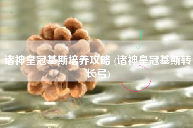 诸神皇冠基斯培养攻略 (诸神皇冠基斯转长弓)