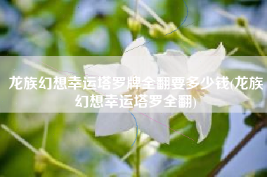 龙族幻想幸运塔罗牌全翻要多少钱(龙族幻想幸运塔罗全翻)