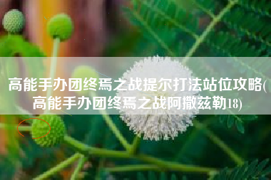 高能手办团终焉之战提尔打法站位攻略(高能手办团终焉之战阿撒兹勒18)