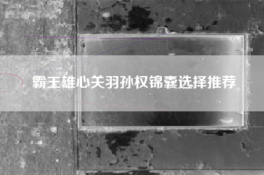 霸王雄心关羽孙权锦囊选择推荐