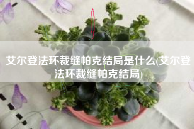 艾尔登法环裁缝帕克结局是什么(艾尔登法环裁缝帕克结局)