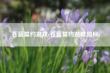 苍蓝誓约游戏(苍蓝誓约游戏图标)