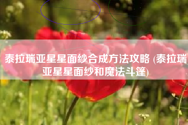 泰拉瑞亚星星面纱合成方法攻略 (泰拉瑞亚星星面纱和魔法斗篷)