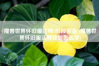 魔兽世界怀旧服法师5阶段装备 (魔兽世界怀旧服法师技能怎么学)