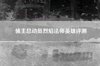领主总动员烈焰法师英雄评测