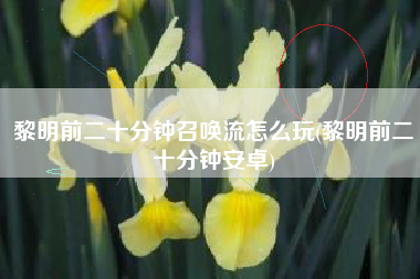 黎明前二十分钟召唤流怎么玩(黎明前二十分钟安卓)