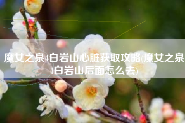 魔女之泉4白岩山心脏获取攻略(魔女之泉4白岩山后面怎么去)