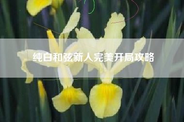 纯白和弦新人完美开局攻略
