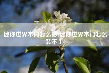 迷你世界木门怎么做(迷你世界木门怎么装不上)