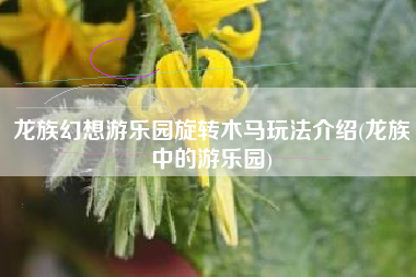 龙族幻想游乐园旋转木马玩法介绍(龙族中的游乐园)