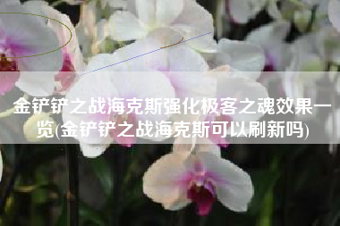 金铲铲之战海克斯强化极客之魂效果一览(金铲铲之战海克斯可以刷新吗)