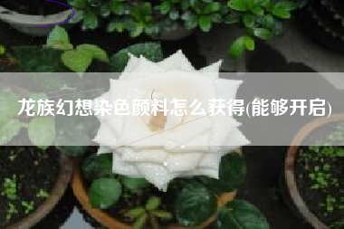 龙族幻想染色颜料怎么获得(能够开启)