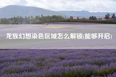 龙族幻想染色区域怎么解锁(能够开启)