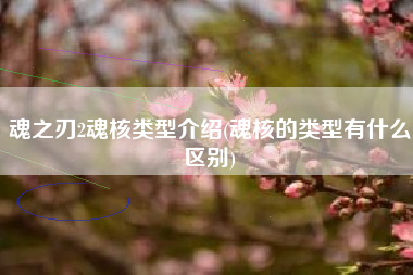 魂之刃2魂核类型介绍(魂核的类型有什么区别)