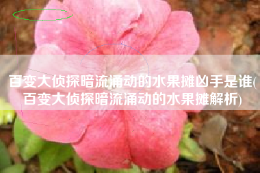 百变大侦探暗流涌动的水果摊凶手是谁(百变大侦探暗流涌动的水果摊解析)
