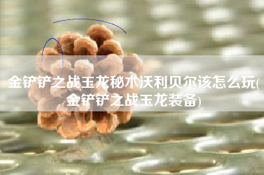 金铲铲之战玉龙秘术沃利贝尔该怎么玩(金铲铲之战玉龙装备)