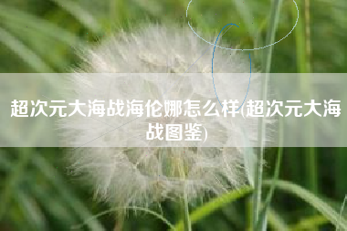 超次元大海战海伦娜怎么样(超次元大海战图鉴)