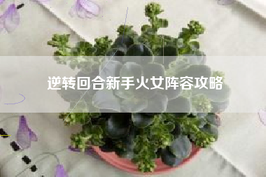 逆转回合新手火女阵容攻略