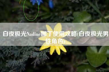 白夜极光Nadine娜丁使用攻略(白夜极光男性角色)
