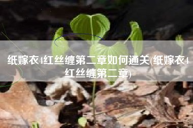 纸嫁衣4红丝缠第二章如何通关(纸嫁衣4红丝缠第二章)