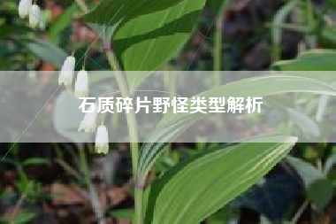 石质碎片野怪类型解析