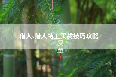 猎人x猎人特工实战技巧攻略
