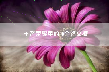 王者荣耀里的30个铭文槽