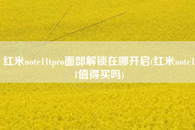 红米note11tpro面部解锁在哪开启(红米note11值得买吗)