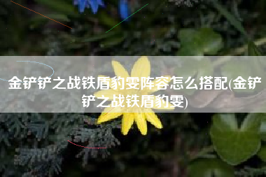 金铲铲之战铁盾豹雯阵容怎么搭配(金铲铲之战铁盾豹雯)