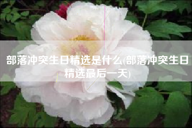 部落冲突生日精选是什么(部落冲突生日精选最后一天)