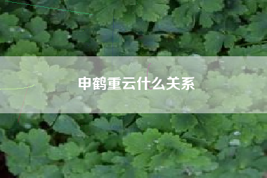 申鹤重云什么关系