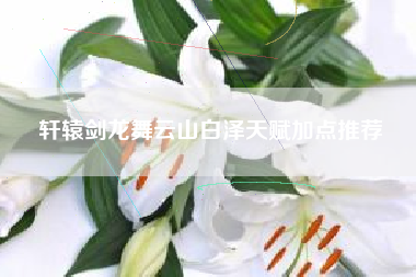 轩辕剑龙舞云山白泽天赋加点推荐