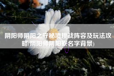 阴阳师阴阳之守秘境挑战阵容及玩法攻略(阴阳师阴阳寮名字背景)