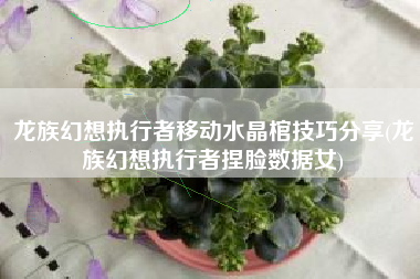 龙族幻想执行者移动水晶棺技巧分享(龙族幻想执行者捏脸数据女)