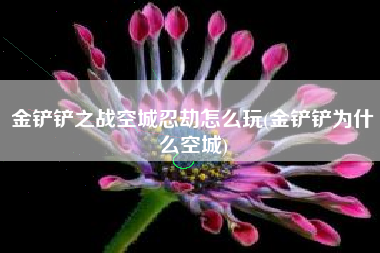 金铲铲之战空城忍劫怎么玩(金铲铲为什么空城)