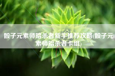 骰子元素师暗杀者新手推荐攻略(骰子元素师暗杀者卡组)