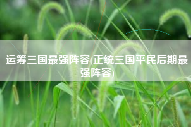 运筹三国最强阵容(正统三国平民后期最强阵容)