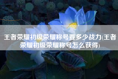 王者荣耀初级荣耀称号要多少战力(王者荣耀初级荣耀称号怎么获得)