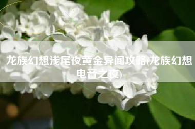 龙族幻想浅尾夜黄金异闻攻略(龙族幻想电音之夜)