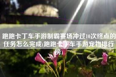 跑跑卡丁车手游制霸赛场冲过10次终点的任务怎么完成(跑跑卡丁车手游宠物排行榜)